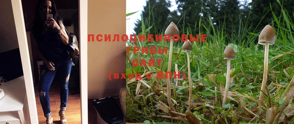 метадон Абдулино