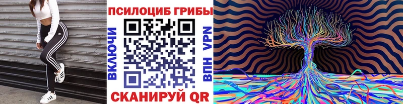 цена наркотик omg tor Галлюциногенные грибы GOLDEN TEACHER Кораблино